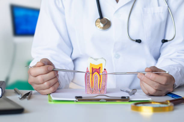 Best Emergency Denture Repair in Pilot Mountain, NC